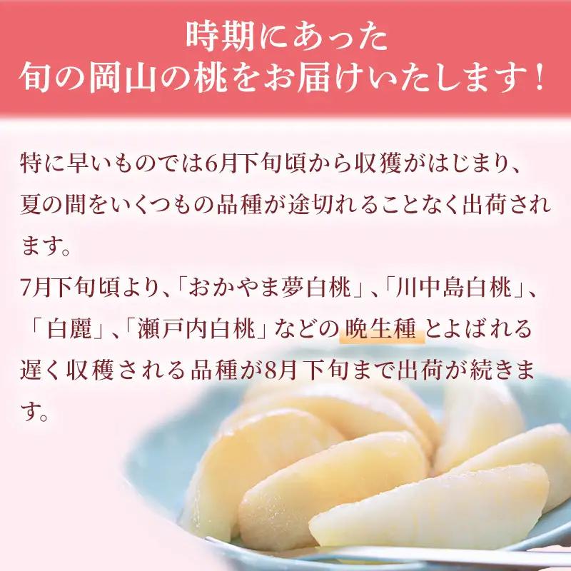桃 2026年 先行予約 ご家庭用 白桃（晩生種）5～6玉 合計約1.5kg  岡山県産 桃