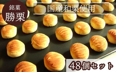 京都の縁起菓子「勝栗」48個入りセット