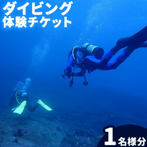 【ふるさと納税】体験ダイビングチケット 勝浦ダイビング協会《90日以内に出荷予定(土日祝除く)》体験 ダイビング チケット アウトドア アクティビティ 海