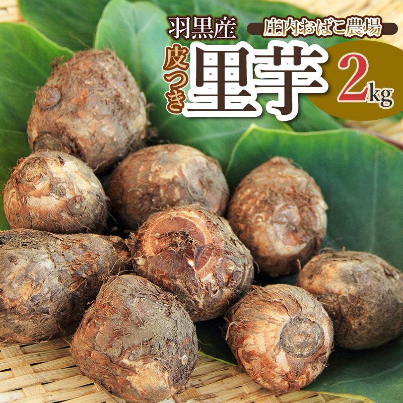 【ふるさと納税】【令和7年産先行予約】羽黒産　皮つき里芋 2kg　K-726　庄内おばこ農場　さといも
