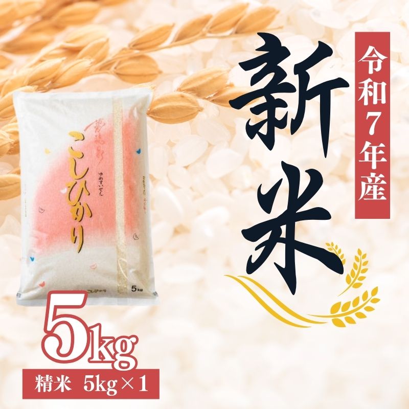No.2382大文字屋米穀店【令和7年産新米】コシヒカリ精米 5kg