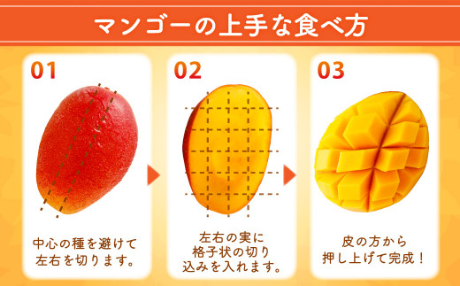 ＜宮崎県産 完熟マンゴー 2L×2玉＞ ※2026年5月上旬～7月中旬までに順次出荷 マンゴー 果物 くだもの フルーツ 完熟 南国
