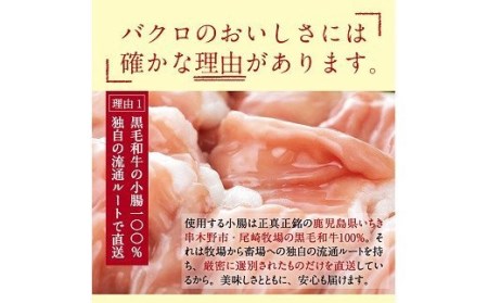 黒毛和牛もつ鍋セット！ 鹿児島県産黒毛和牛を使用したもつ鍋＜味噌＞セット(2～3人前)「贅の味噌」スープと黒毛和牛小腸 もつ鍋 もつなべ 鍋セット【A-556H】