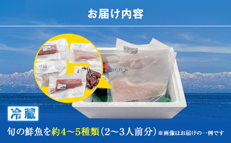 【配送地域限定】 産地直送 氷見漁港 朝どれ鮮魚お刺身セット 平日配達希望