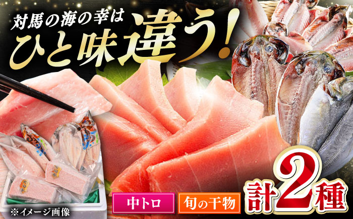 対馬産 本マグロ 中トロ 300g & 旬の干物 2種 《対馬市》【対海】 [WAH001] マグロ まぐろ 鮪 本鮪 本マグロ 養殖 トロ 中トロ 中とろ 刺身 干物 旬 魚 地魚 アジ カマス 冷凍 海鮮 柵 お祝い 贈答