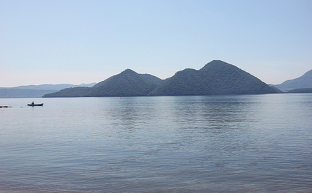 洞爺湖産わかさぎ(20尾入り×4P)・ひめます4尾(約120～140g/1尾)セット 北海道産 ワカサギ わかさぎ 川魚 魚介類 産地直送 冷凍 お取り寄せ グルメ 料理 天ぷら フライ とうやマルシ