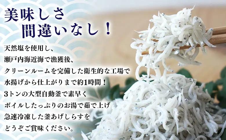 ＜老舗網元 濱田屋の釜あげしらす 計1.1kg（100g×11袋）＞『1か月以内に順次出荷予定』 数量限定 化粧箱 簡易包装 選べる 釜揚げ シラス じゃこ 海鮮 海産物 丼 小魚 乾物 小分け カル