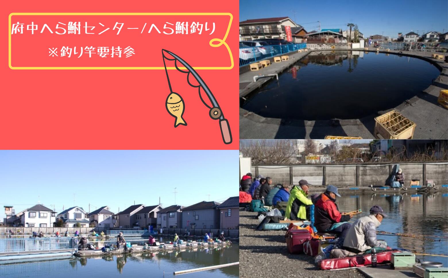 【ふるさと納税】府中へら鮒センター/へら鮒釣り　※釣り竿要持参【ヘラブナ・フィッシング・竿・魚・釣り堀・初心者】