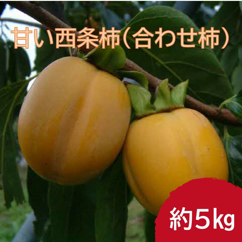 【ふるさと納税】【先行予約】山陰浜田市 甘い西条柿（合わせ柿）生食用約5kg＜10月下旬より発送＞ 柿 かき フルーツ 先行予約 【113_1753】