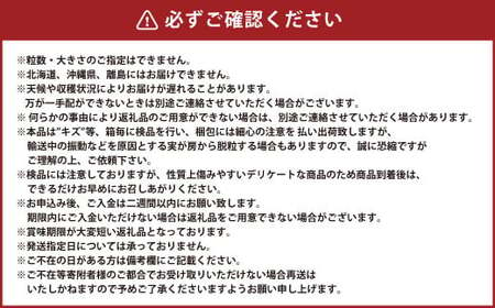 岡山県産 ニューピオーネ 1房 約700g 【2025年8月上旬～10月上旬迄発送予定】 岡山 ピオーネ 種無し 種なし 果物 くだもの フルーツ ぶどう ブドウ 葡萄