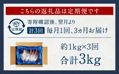 【3カ月定期便】【訳あり】 厚切り 銀鮭切身 約1kg×3回 合計約3kg 銀鮭 鮭 サケ 切り身 魚 魚介 しゃけ