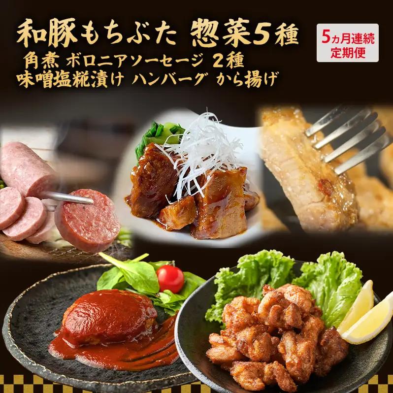 【5ヵ月定期便】全5回 和豚もちぶた 角煮 ボロニアソーセージ 2種 味噌塩糀漬け ハンバーグ から揚げ 豚肉
