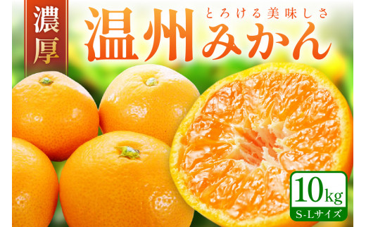 「濃厚な味のとろける美味しさ」 温州みかん 10kg 《先行予約》みかん ミカン  サイズ混合 Ｓ～Ｌサイズ 甘い 果物 フルーツ 濃厚 産地直送 期間限定 デザート 贈り物  贈答
