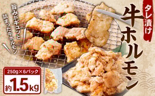 タレ漬け 牛ホルモン 1.5kg （250g×6パック） 牛肉 牛 お肉 肉 たれ タレ ホルモン 焼き肉 焼肉 小分け 冷凍
