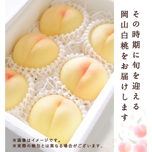 桃 先行予約 岡山 白桃 3玉 約750g 化粧箱 果物 フルーツ もも モモ 桃