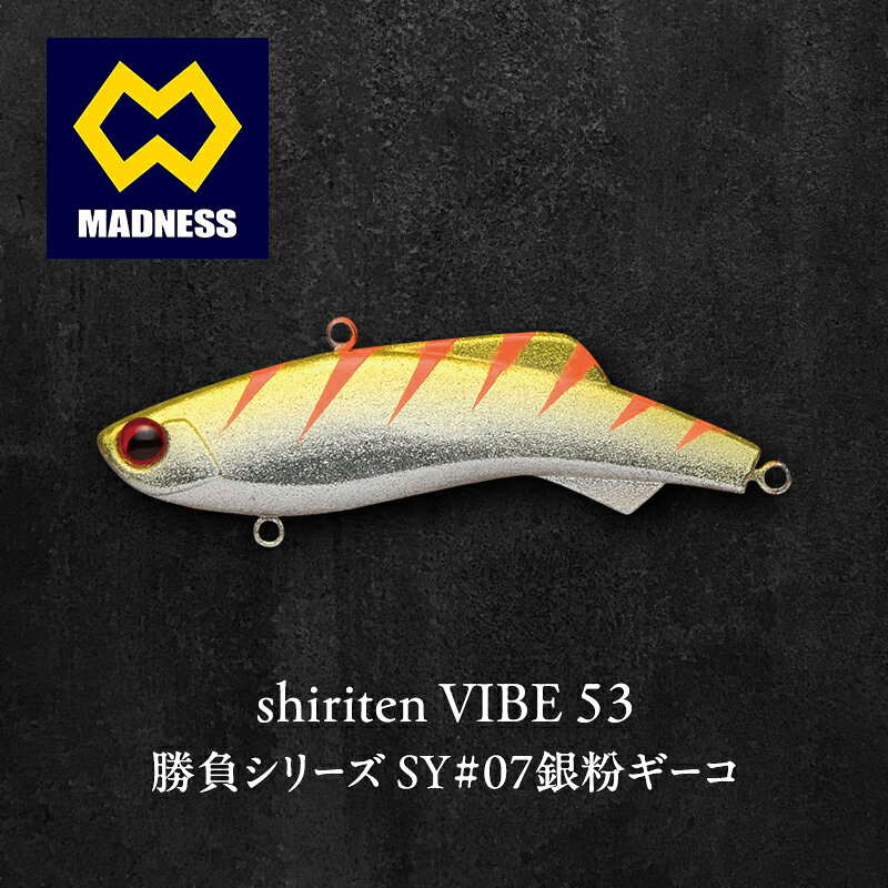 【ふるさと納税】勝負シリーズSY#07銀粉ギーコ shiriten 53 VIBE カタクチイワシ 拡散フラッシング デイゲーム ナイトゲーム 京都府京田辺市