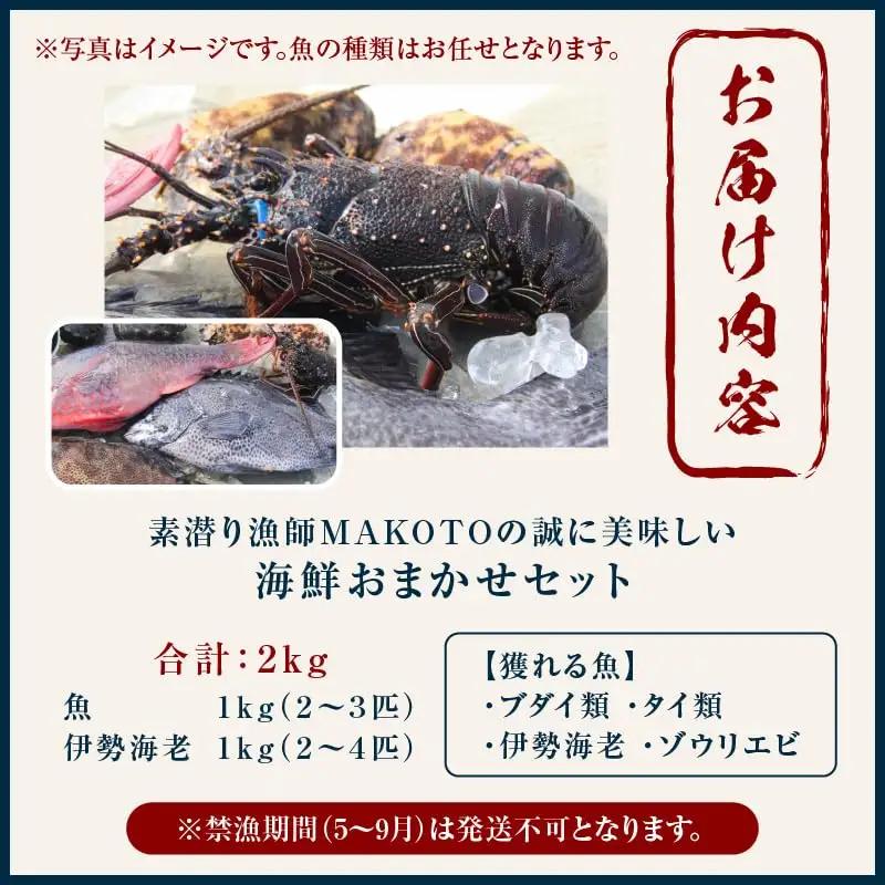 素潜り漁師 MAKOTO の誠に 美味しい 海鮮 おまかせ セット 2kg C074-002 魚介類 冷凍 伊勢海老 イセエビ 魚