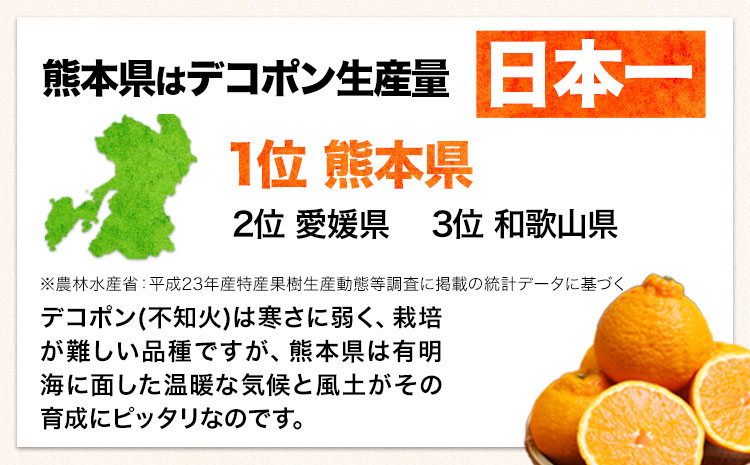 ご家庭用 デコポン デコポン約5kg前後(約12-24玉前後)《2月上旬-4月末頃出荷》不知火 熊本県産 熊本県 長洲町 糖度13度以上