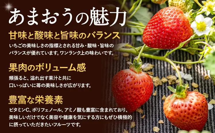 あまおう いちご 1500g【配送不可地域：離島】