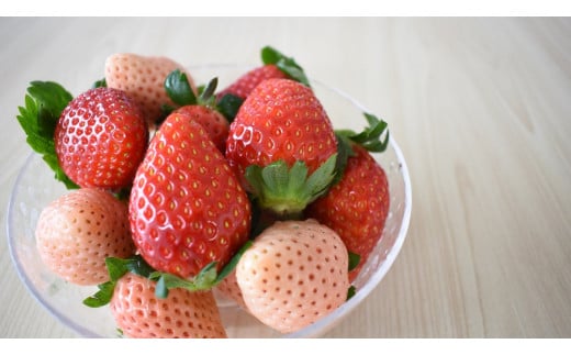 【1月発送】いちご　紅白（とちおとめ・淡雪）DX　1箱（12～20粒）