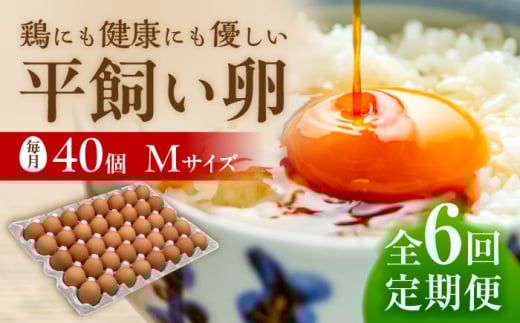 【 全6回 定期便 】  平飼い 卵  「 天上卵 」 40個 セット 《糸島》【株式会社おおはまファーム】[AKH007]