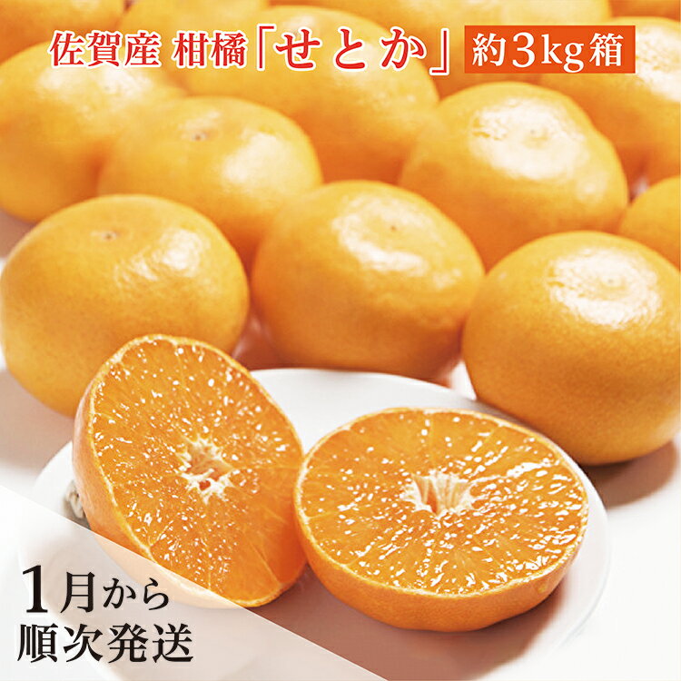 【ふるさと納税】【先行予約 2026年1月から順次発送】佐賀産 柑橘 みかん 『 せとか 』 約 3kg 箱 | 佐賀県 産 せとか 甘い 濃厚 柑橘 かんきつ 約 3kg フルーツ 果物 ギフト 贈答用 家庭用 c-106