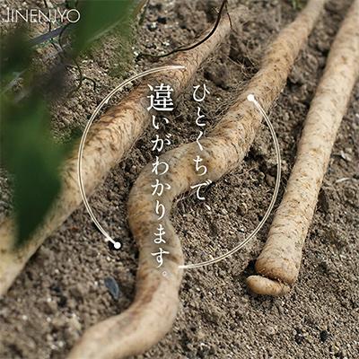 ふるさと納税 牧之原市 山の貴婦人ギフトセット(300g×3個) |  | 03