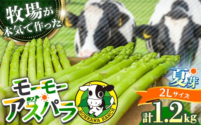 
                  【先行予約】モーモーアスパラ 夏芽 2L 1.2kg（6月上旬から順次発送） 酪農 牧場 こだわり アスパラガス おすすめ 大分県　日田市 / 株式会社本川牧場 [ARAI039]
                