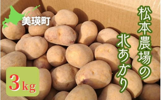 【先行予約】じゃがいも 3kg 北あかり <令和7年産 >松本農場   | キタアカリ きたあかり秋野菜 3kg 人気 おすすめ ランキング いも 芋 イモ じゃがいも ジャガイモ 野菜[0055-02]