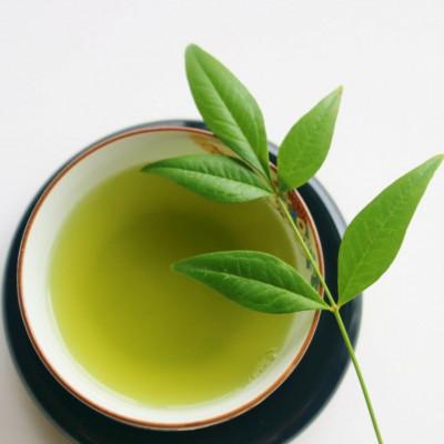 ふるさと納税 春日市 八女茶【上】煎茶セット　100g×2袋(春日市) |  | 03