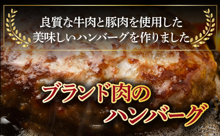 土佐あかうしと四万十ポークのハンバーグ　５個セット _yj070