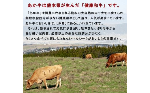 熊本県産 GI認証取得 くまもとあか牛 焼き肉用切り落とし 合計600g