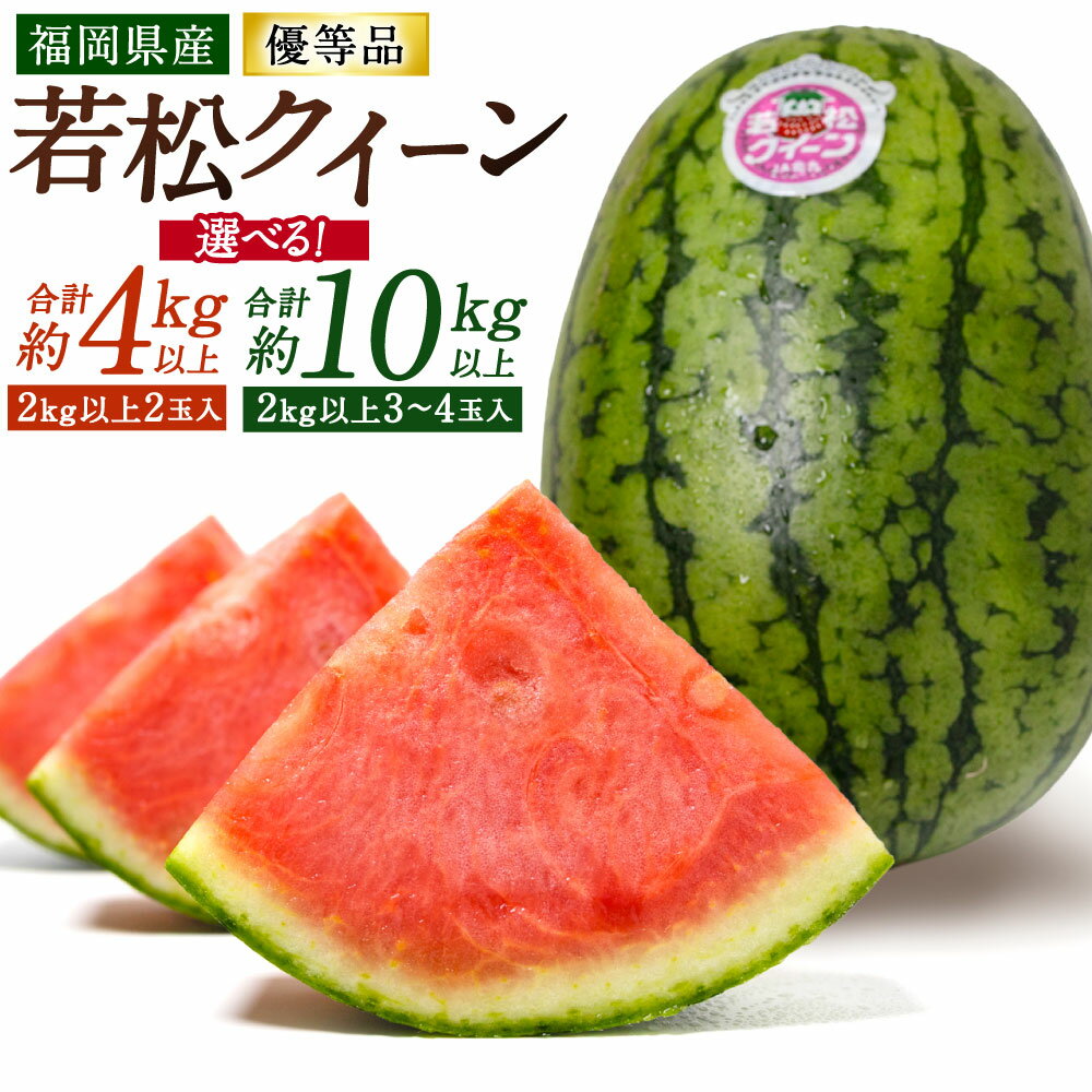 【ふるさと納税】福岡県北九州市若松産【優等品】若松クイーン スイカ ＜選べる＞約4kg以上(約2kg以上 2玉入り) / 約10kg以上(約2kg以上3玉入り～4玉入り) すいか くだもの 旬 新鮮 夏 高品質 西瓜 予約 国産 【2026年7月上旬～8月上旬発送予定】