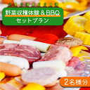 【ふるさと納税】野菜 収穫 体験 と BBQ セット プラン (2名様分) / 南島原市 / ミナサポ [SCW016] バーベキュー 焼肉 カップル