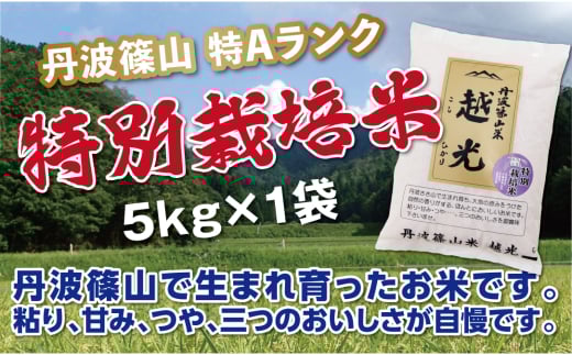 【令和7年産】丹波篠山産　特Aランク　特別栽培米　越光（５ｋｇ×１袋） 兵庫県 丹波篠山市 白米 100％単一原料米 産地直送米 贈答 おいしい お米 精米 コシヒカリ ブランド おこめ 健康 ギフト 内祝い 贈り物 送料無料 おすすめ 人気 口コミ