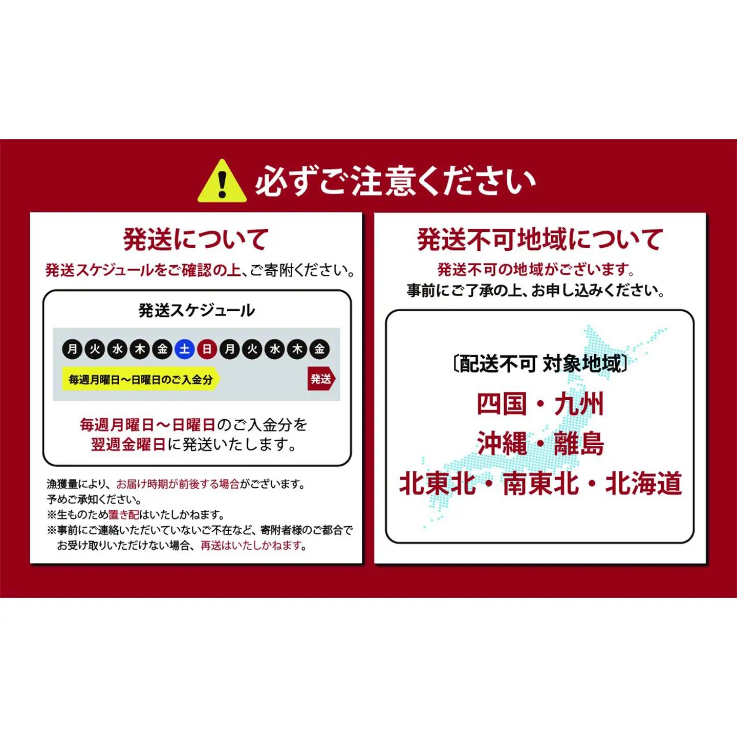 サーモン 冷凍 4～5P 約1kg サーモン