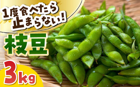 【毎年7月から順次発送】枝豆 3kg 野菜 枝豆 おつまみ[AECM004]