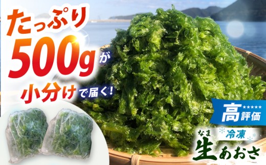 【五島列島よりお届け】冷凍 生あおさ 50g×10袋 計500g【上五島町漁業協同組合】 [RBN007]