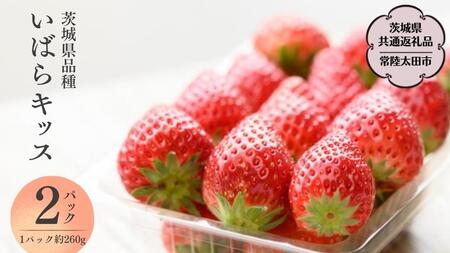 【 2026年 先行予約 】いばらキッス(2パック×1箱)（茨城県共通返礼品／常陸太田市） 茨城県品種 2026年1月上旬発送開始 フルーツ 苺 イチゴ いちご 新鮮 朝採れ 茨城県 桧山FRUITFARM [DY002sa]