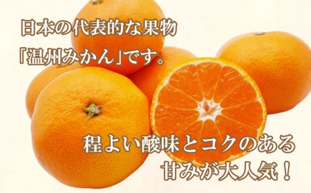 【愛媛みかん】 5kg みかん