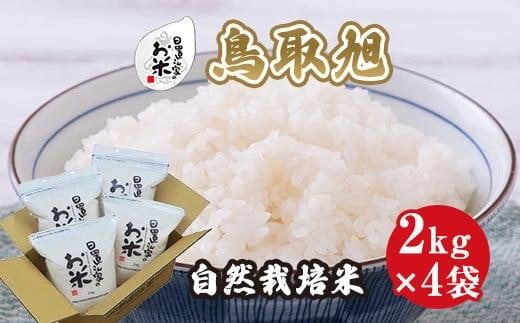 200.日置さん家の自然栽培米「鳥取旭」無洗米　2kg×4袋 2025年産