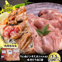 【ふるさと納税】特上ラム肉ジンギスカンたれ付・2種の味付とり肉セット 1.5kg（ラム・とりしお・手羽中 各500g） [鶴岡精肉店]北海道京極町【 ラム BBQ バーベキュー 焼肉 】　【 羊肉 子羊肩ロース 鶏肉料理 おかず つまみ 】　お届け：2023年9月より順次出荷開始