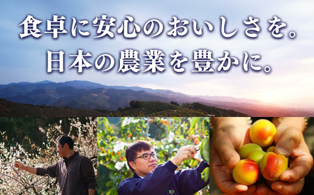 完熟梅 ドリンク 「 夕梅 」 ギフト 710 ml 2本 | シロップ 梅 はちみつ 有限会社 農悠舎