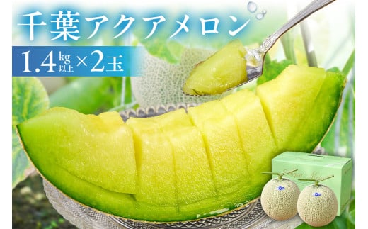 千葉アクアメロン(マスクメロン)2玉【まとめてお届け】 mi0018-0003【メロン 青肉 ギフト 贈答 プレゼント フルーツ 果物】