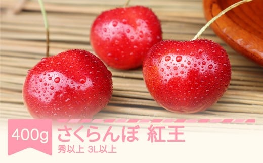 
            先行予約 さくらんぼ やまがた紅王 3L以上 秀品以上 400g バラ詰 2026年産 令和8年産 山形県産 mm-yb3lx400 ※沖縄・離島への配送不可
          