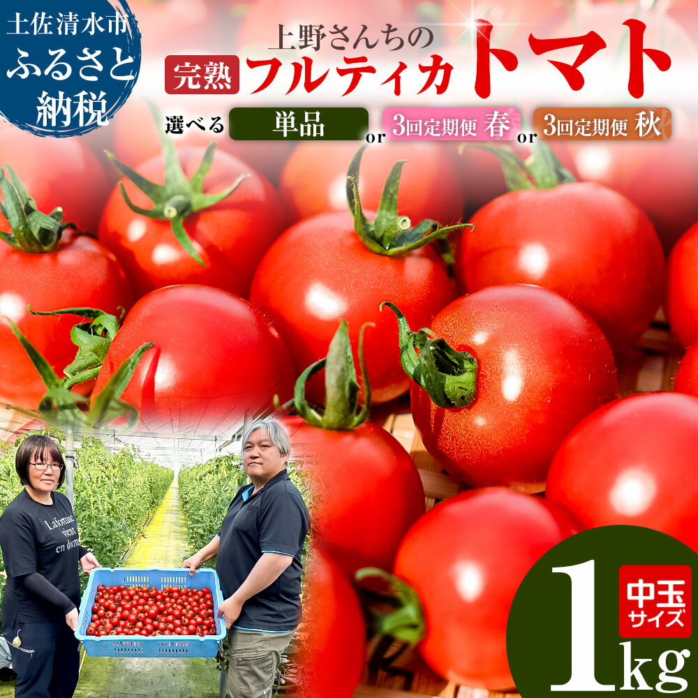【ふるさと納税】完熟フルティカトマト1kg 選べるお届け回数 定期便 中玉サイズ 甘熟ミディトマト フルーツトマト 野菜 1000g 1キロ 産地直送 天然地下水使用 美味しい 国産 送料無料 高知県 土佐清水市 故郷納税 返礼品 高知 7000円【R00130】
