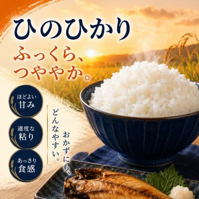 ふるさと納税 和水町 【令和7年産】熊本県産 ひのひかり 無洗米 5kg |  | 01