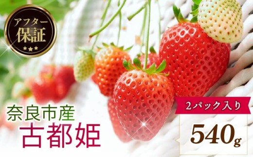 【数量限定】 2027年 1~2月発送 苺 いちご 古都姫 2パック 約540g (約270g×2P) ゆりかーご 冷蔵 小分け 果物 スイーツ デザート くだもの フルーツ ベリー ふるさと納税 いちご 大粒 採れたて 完熟 おやつ 産地直送 先行予約 数量限定 季節限定 ブランド イチゴ ギフト お祝い 中村農園 奈良県 奈良市 inn01