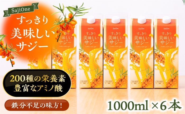
                  【3か月分を一回で配送】家族みんなでおいしく飲める！すっきり美味しいサジー 1000ml×6本《豊前市》【ハウスボトラーズ】[VAX046] サジージュース 飲料 ドリンク サジー 健康 美容 ビタミンC 鉄分 ジュース スーパーフルーツ さじー 紙パック 飲みやすい
                