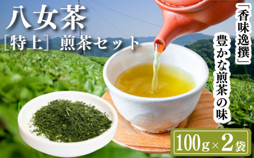 八女茶　【特上】煎茶セット　100g×2袋